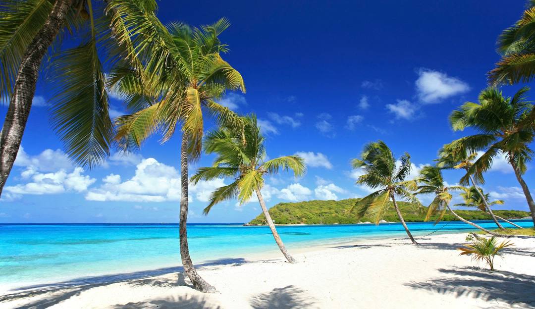 Palm trees on a white sand beach beside shallow turquoise water
