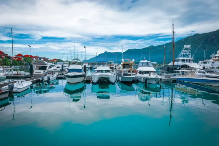 Charter yachts berthed side by side in a marina