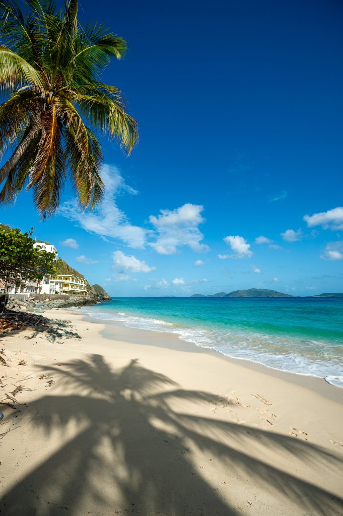 Palm lined and shaded white sands of Apple Bay beach on Tortola in the British Virgin Islands