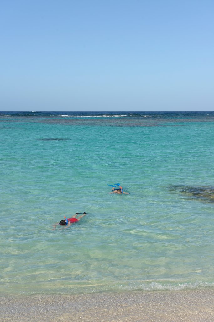 Snorkeling the reef at Loblolly Bay Anegada British Virgin Islands